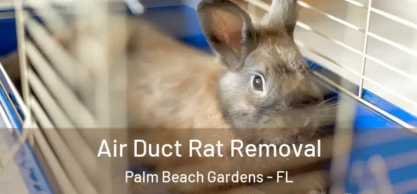  Air Duct Rat Removal Palm Beach Gardens - FL