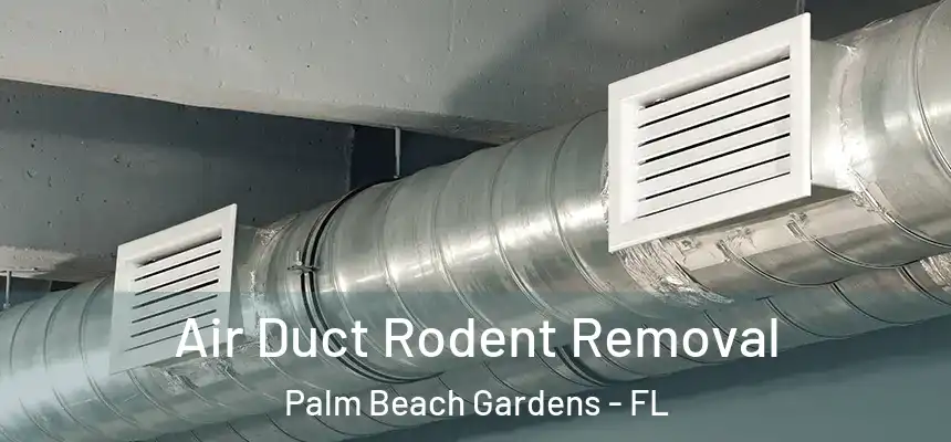  Air Duct Rodent Removal Palm Beach Gardens - FL