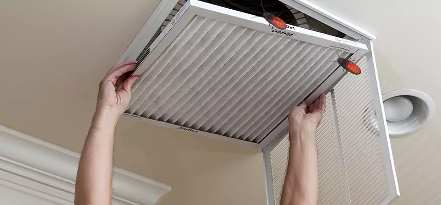 Preventive Cockroach-Proofing for Ducts in Palm Beach Gardens