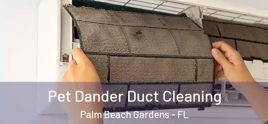  Pet Dander Duct Cleaning Palm Beach Gardens - FL