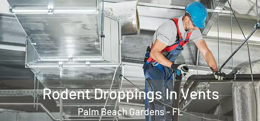 Rodent Droppings In Vents Palm Beach Gardens - FL