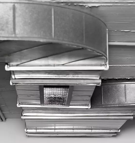 Professional Air Duct Pest Removal in Palm Beach Gardens, FL