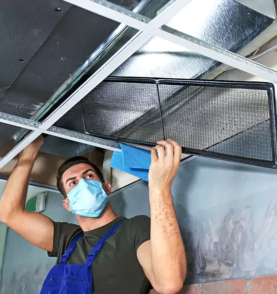 Professional Air Duct Pollen Cleaning in Palm Beach Gardens, FL