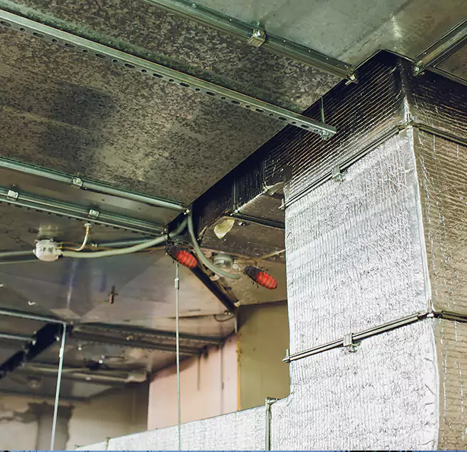 Why Homeowners & Businesses Trust Us in Palm Beach Gardens, FL?