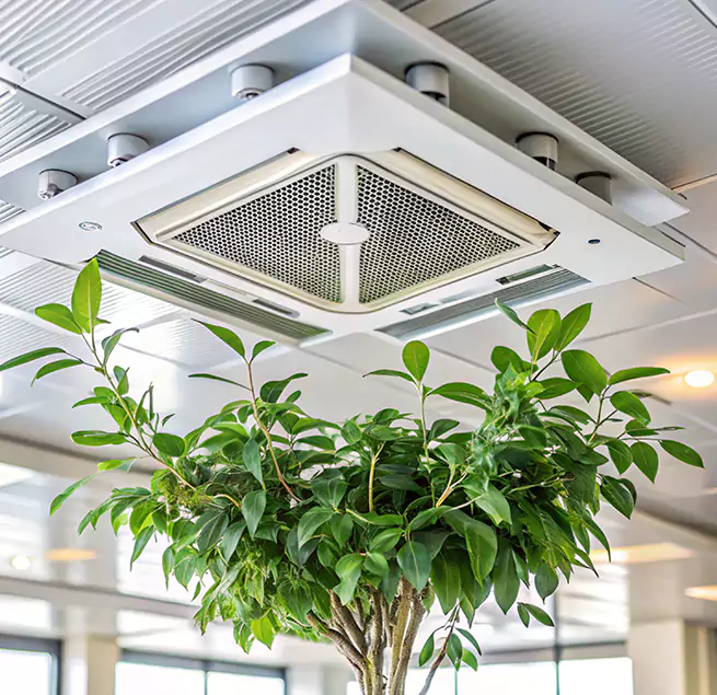 Why Homeowners & Businesses Trust Us in Palm Beach Gardens, FL