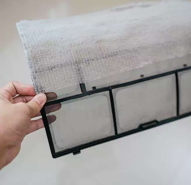 Why Homeowners & Businesses Trust Us in Palm Beach Gardens, FL?