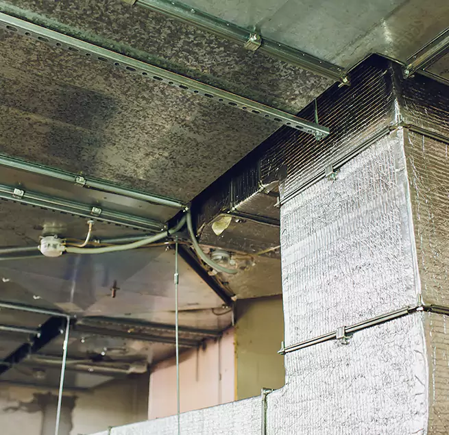 Why Homeowners & Businesses Trust Us in Palm Beach Gardens, FL?